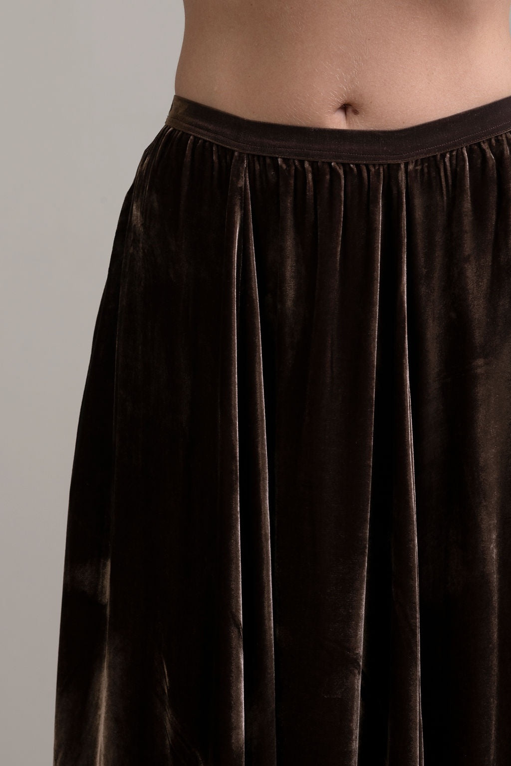 Silk Velvet Skirt ~ Moka