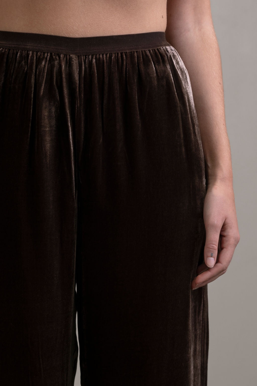 Silk Velvet Pant ~ Moka